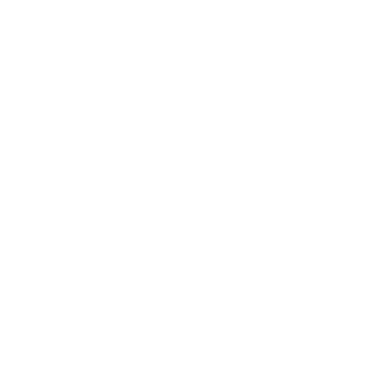 Central_Access-LOGO-WHITE-01